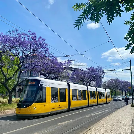 Apartment Tejo River View Classic Flat In Lisbons Historic Heart *
